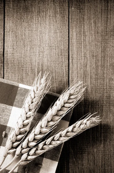 Колосья пшеницы на дереве — стоковое фото