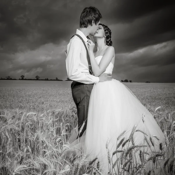 Молодая супружеская пара в поле пшеницы — стоковое фото