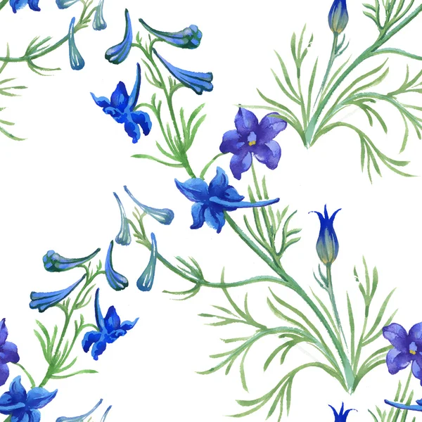 Голубой акварелью полевые цветы Стоковое Фото