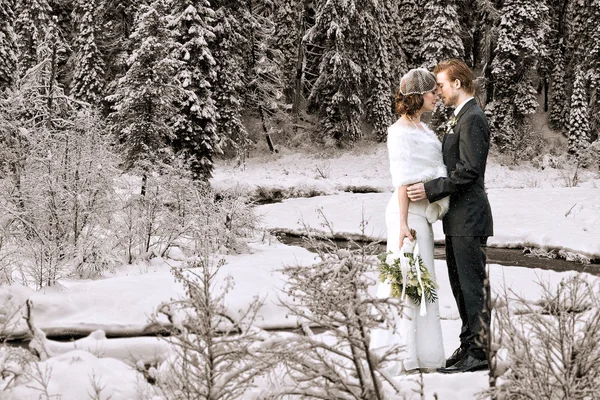 Зимняя свадьба за пределами Стоковое Изображение
