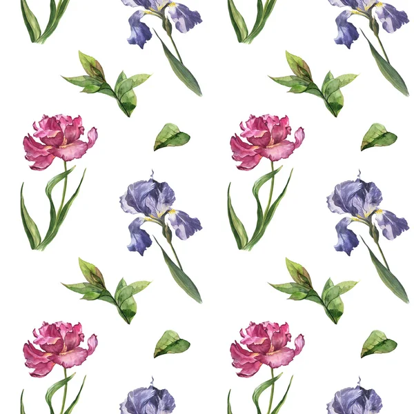 Акварель, красочные весенние и летние цветы бесшовный паттерн с Розовый тюльпан и Ирис Лицензионные Стоковые Изображения