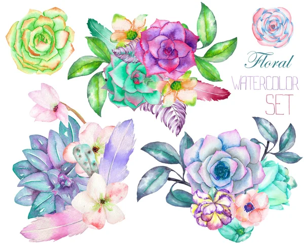 Декоративную букеты с акварельными цветочными элементами: суккуленты, цветы, листья и ветви Лицензионные Стоковые Фото