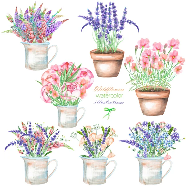 Набор иллюстраций с букетом красивых полевых цветов в деревенском банке и горшки Лицензионные Стоковые Фото