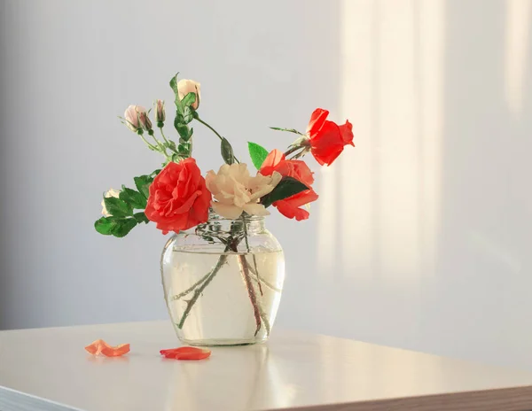 Розы в стеклянной вазе на белом фоне — стоковое фото