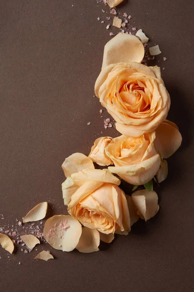 Состав красивые розовые цветы — стоковое фото