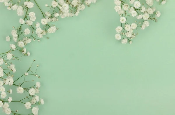 Букеты из цветов белого гипсофил — стоковое фото
