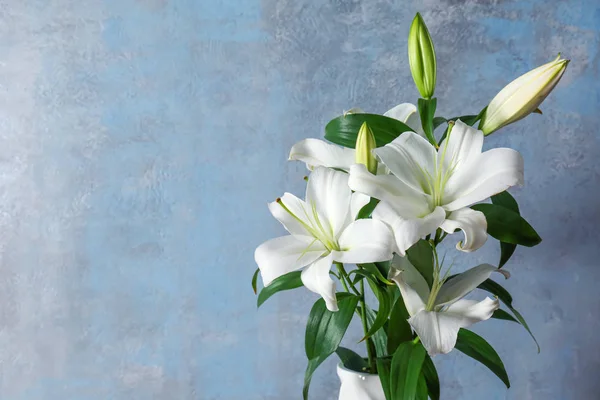 Красивые белые лилии Стоковая Картинка