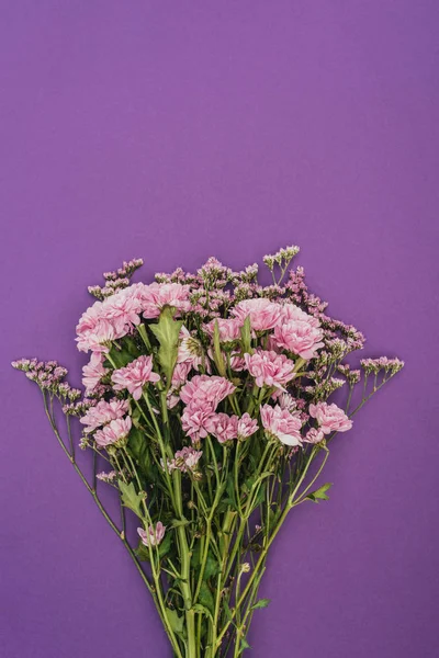Букет Красивых Розовые Хризантемы Фиолетовый Стоковое Изображение