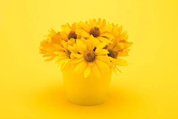Красивые желтые цветы Стоковое Изображение