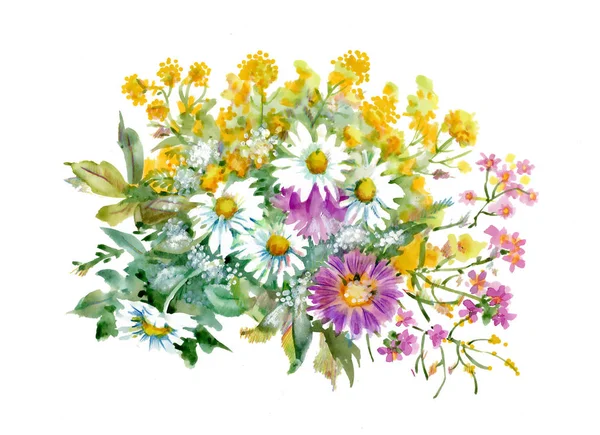 Рисованной цветы, изолированные на белом фоне Стоковая Картинка