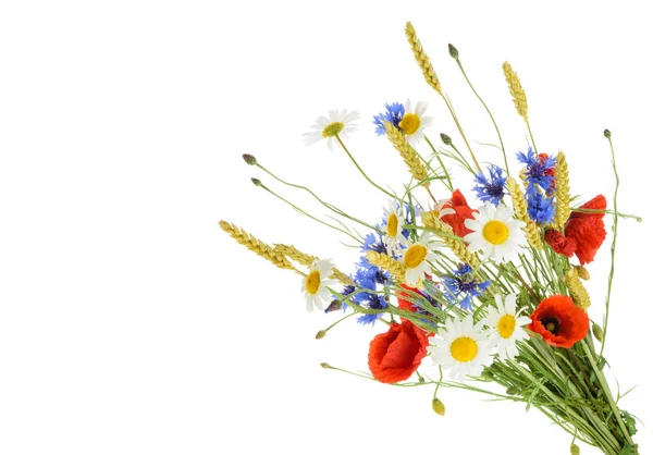 Букет красивых цветов (васильки, ромашки пшеницы и — стоковое фото