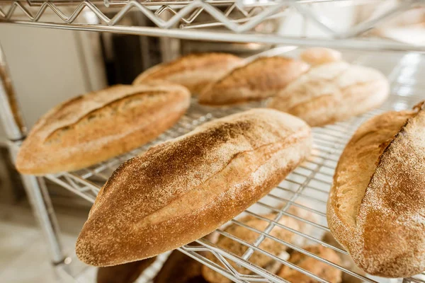 Полки Вкусной Свежеиспеченный Хлеб Выпечки Производство — стоковое фото