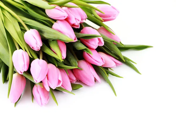Букет прекрасных розовых тюльпанов на белом фоне - цветы — стоковое фото