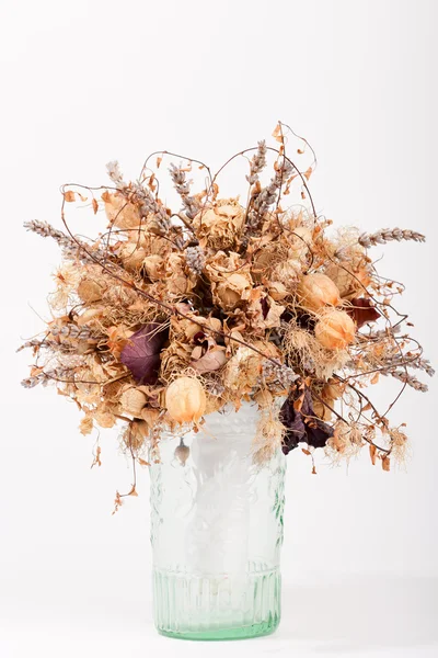 Сухие цветы в стеклянной вазе — стоковое фото